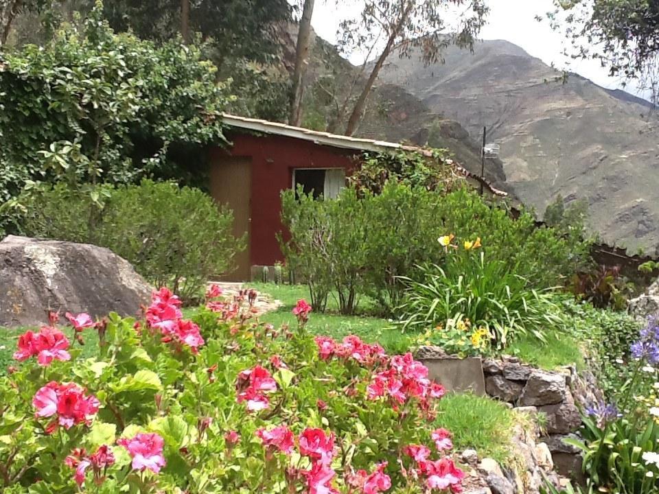 La Casa Del Conde Bed & Breakfast Pisac Dış mekan fotoğraf